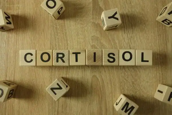 The Hidden Connection: How Stress Shapes Your Fitness and Body Composition 2 Image saying "Cortisol" and how stress Calne impacts your wellbeing and bodies shape